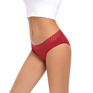 Custom LOGO Nylon fabric period underwear reusable 4 Four Layers absorventes Plus Size Leak Proof period menstrual panties