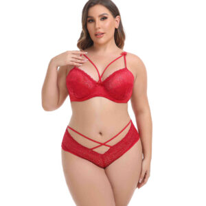 Europe and the United States French transparent sexy hollow bra set small thin lace printed underwear woman