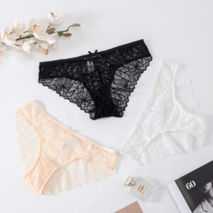 Women's lace panty transparent breathable panty