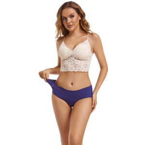 wholesale Ice Silk Briefs Seamless Lace Panties Women's Sexy Underwear