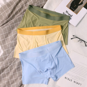 Free Cut Thin Ice Silk Briefs Seamless Shorts Cool Transparent Mens Thin Boxers Panties Men's Underpants Boxer Brief For Men