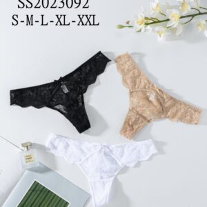 Custom lace thong embroidery tangas de mujer ladies underwear panties high quality sexy women lace panties