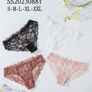 OEM Service New Design Competitive Price Panties Floral Sexy Durable Pants Temptation US Size Fat Women's Underwear