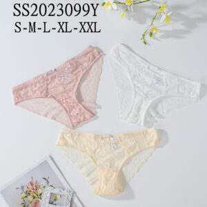 Panties Women Sexy Underwear Mid-rise Panties Sexy G-string Women Transparent Panties