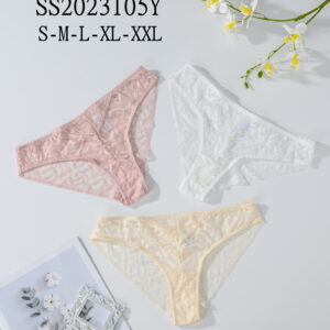 Lace And Luxurious Silk Pretty Flowers And Leaves Lace Semi Lucency Show Women's Sexy Shape Underwear