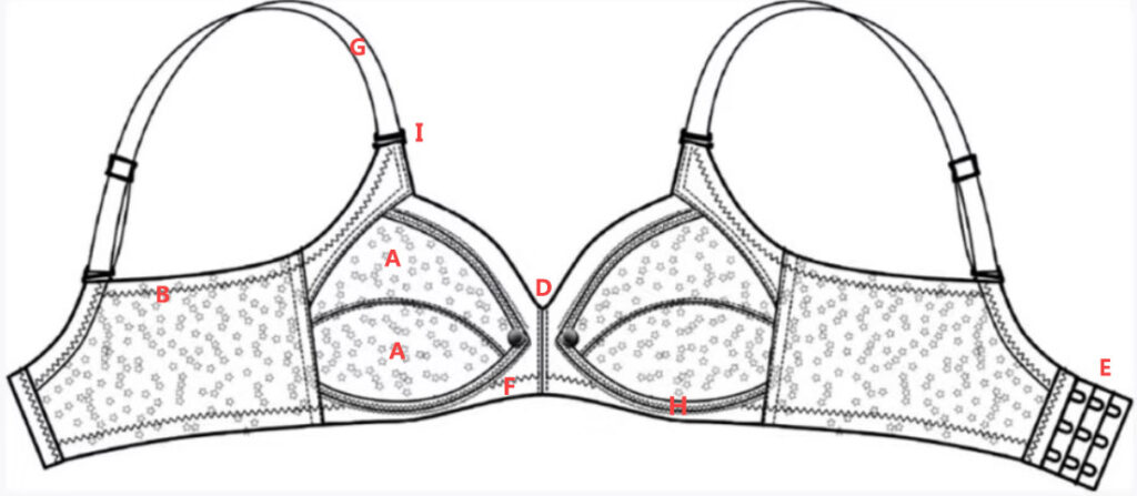 Bra Anatomy