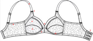 Bra Anatomy
