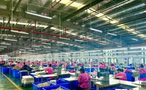 figure 1 How bras are made from fabric to finished product？