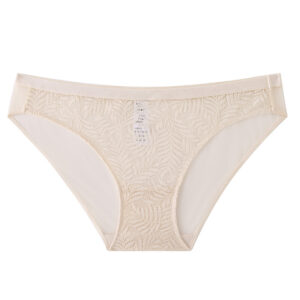 Transparent Female Panties Sexy Lace Panties Women Underwear Panties