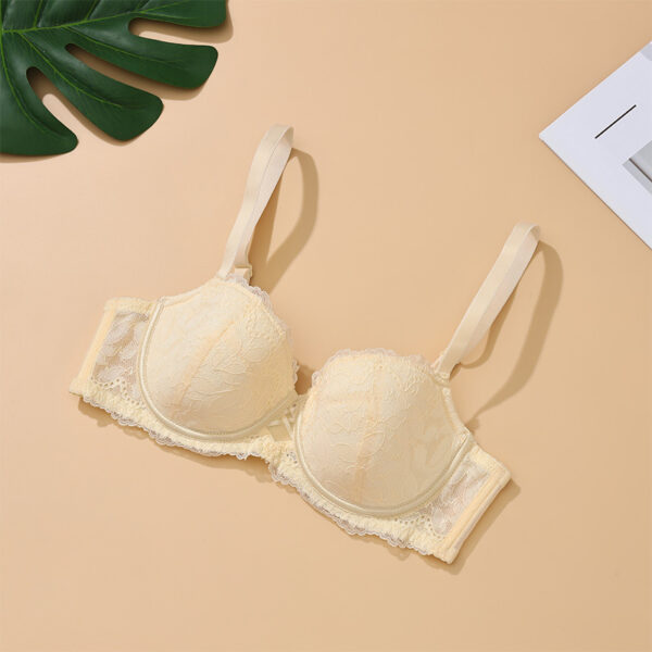 Factory Direct Sales Shapewear Adjustable Straps Lace Lingerie Sexy Push-Up Bra Large Underwear for Girls - 图片 5