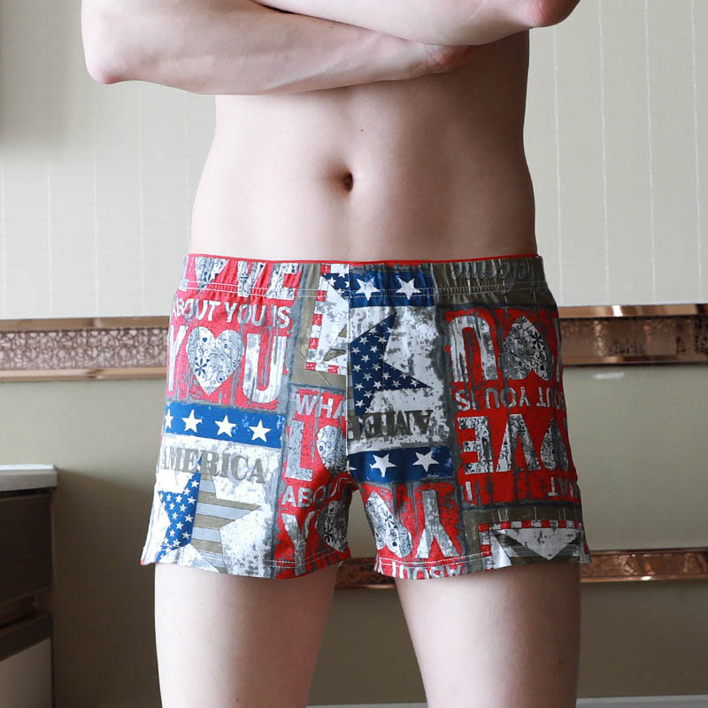 Boxer
