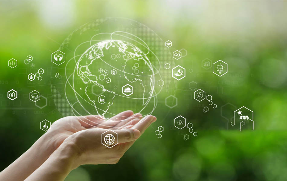 Fuelling sustainable plus size bra brands